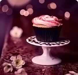 短信测试网站免费